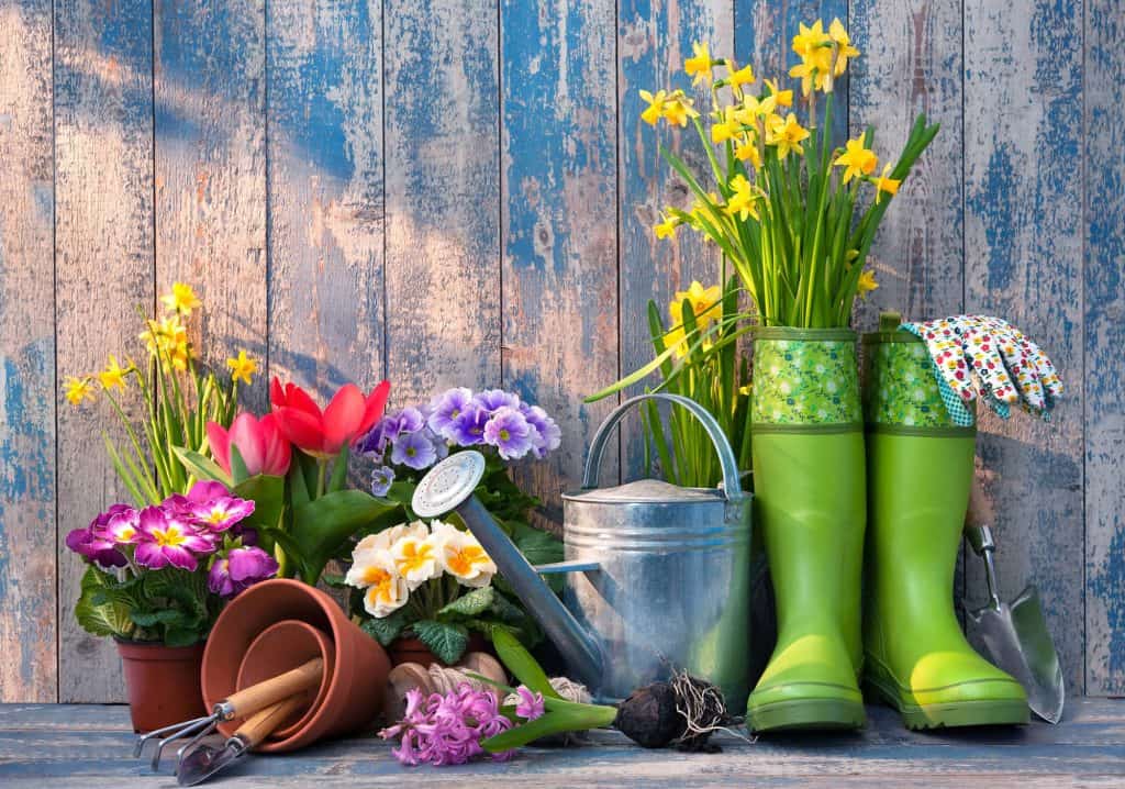 How to Prepare Your Garden